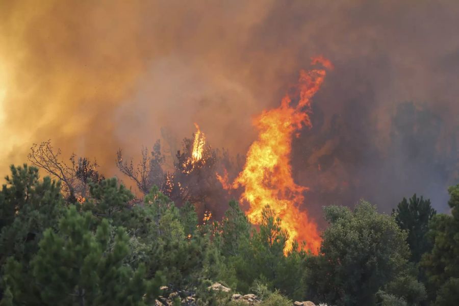 Ein Waldbrand wütet in Koycegiz, in der türkischen Region Mugla.