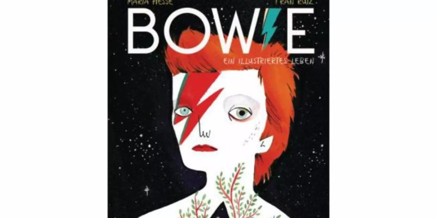 Lesespass und Faszination: «Bowie. Ein illustriertes Leben» von María Hesse und Fran Ruiz. Foto: -/Heyne Hardcore/Random House/dpa