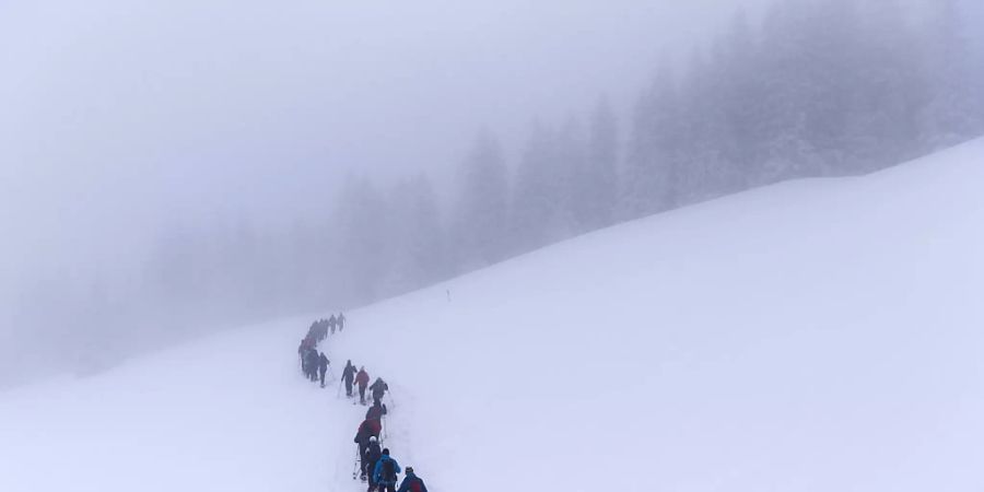 Schneeschuhlaufen erfreut sich wachsender Beliebtheit. (Archivbild)