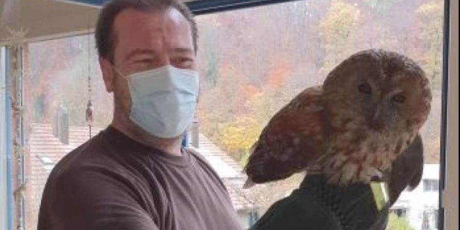Ein Feuerwehrmann hat den Waldkauz aus seiner misslichen Lage im Cheminée eines Mehrfamilienhauses befreit. (Bild: Feuerwehr Brugg AG)