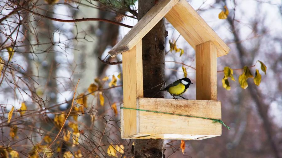 Vogelhäuschen mit Vogel.