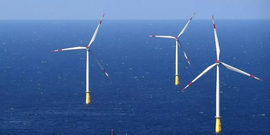 Hunderte Windturbinen sollen grünen Strom für Dänemarks Prestigeprojekt in der Nordsee liefern. (Symbolbild). Foto: picture alliance / dpa