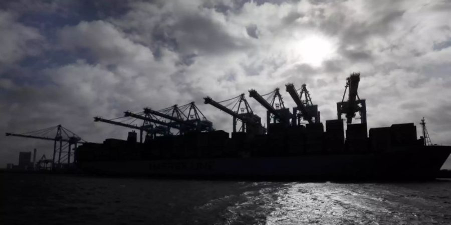 Die Silhouette eines Containerschiffes zeichnet sich im Hafen von Rotterdam gegen die Sonne ab. Hier haben Zöllner 2020 rund 40 Tonnen Kokain sichergestellt. (Archivbild). Foto: Peter Dejong/AP/dpa