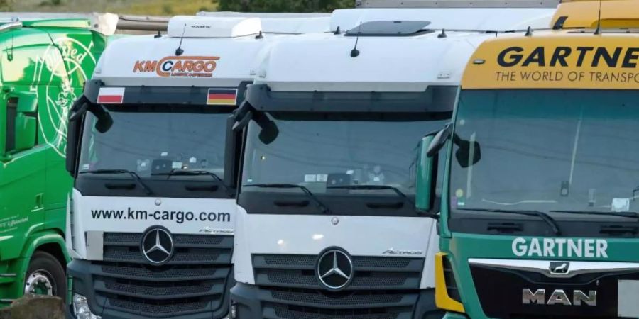 LKW stehen auf dem Autobahnparkplatz Dornheimer Rieth in Thüringen. Foto: Michael Reichel/dpa-Zentralbild/dpa