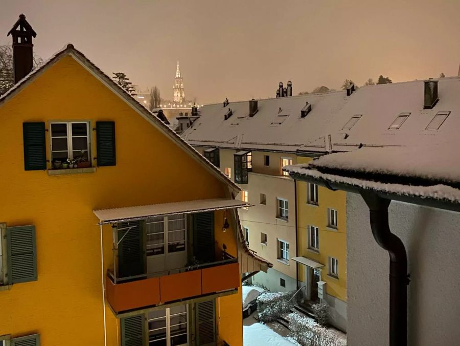 Aussicht aus dem Marzili-Quartier auf das Berner Münster.