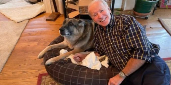 Joe Biden Bringt Erstmals Tierheim Hund Ins Weisse Haus