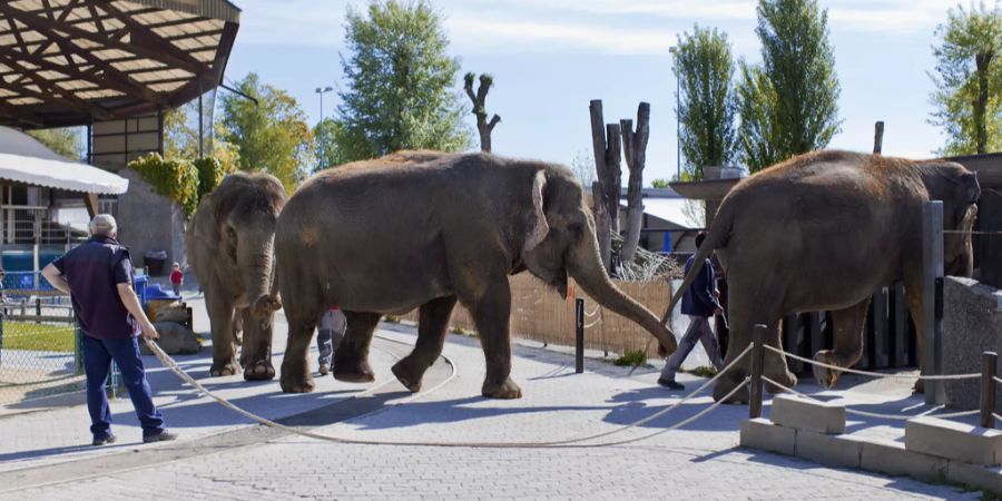 knies kinderzoo rapperswil