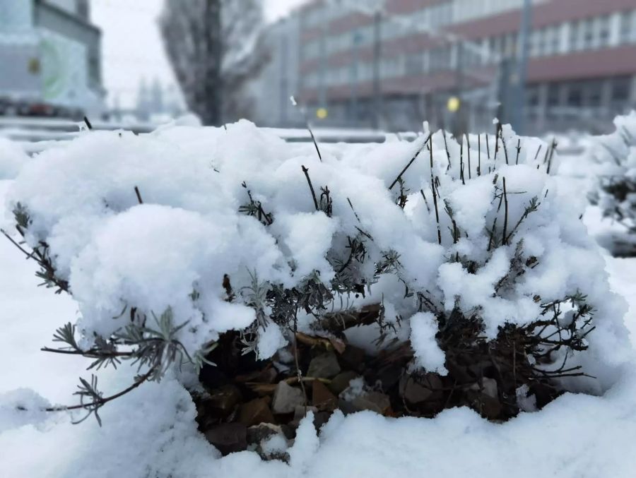 Es schneite bis in tiefe Lagen.