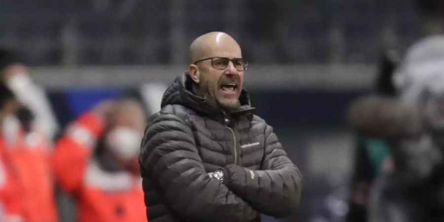 Leverkusens Trainer Peter Bosz prognostiziert eine erneute Meisterschaft des FC Bayern München. Foto: Michael Probst/AP-Pool/dpa