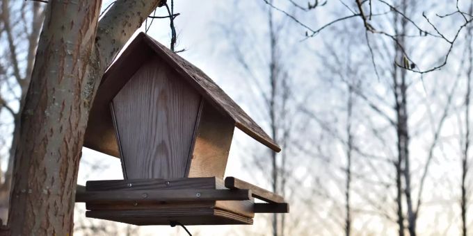 Tiere - Diese 7 Fehler sollten Sie bei Vogelhäuschen vermeiden