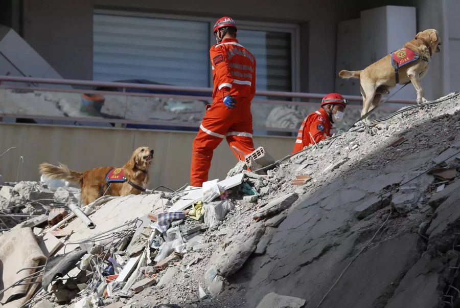 In der Türkei wurde auch am Sonntag nach dem Erdbeben weiter nach Überlebenden gesucht - dabei kamen auch Spürhunde zum Einsatz.