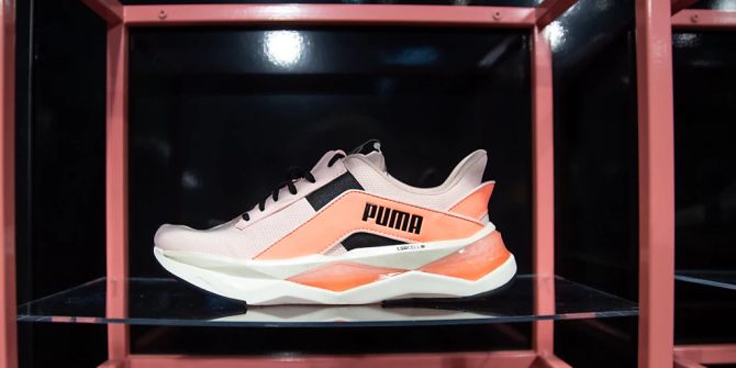 Puma