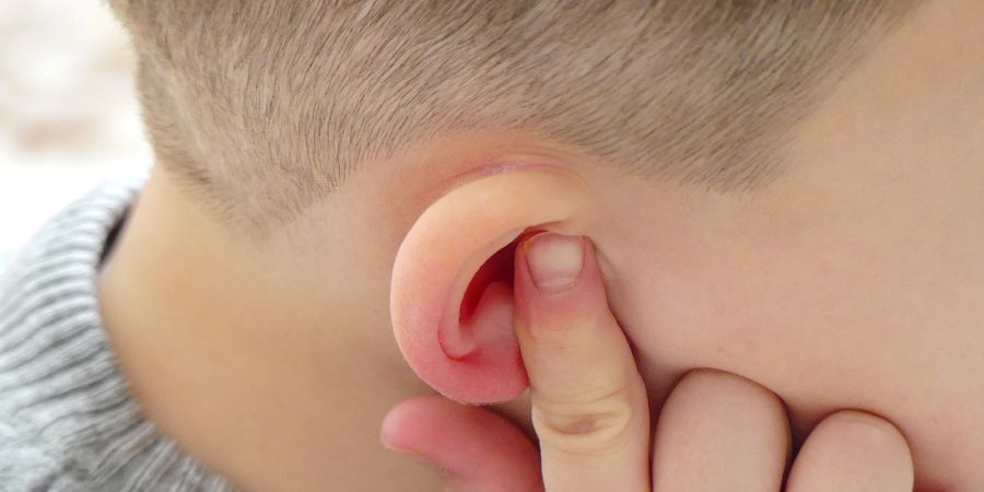 Gerötete Ohren können ein Hinweis auf eine Entzündung sein.