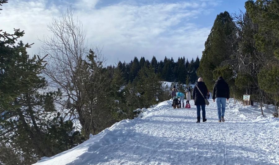 Direkt neben dem Schild lassen jedoch die meisten Besitzerinnen und Besitzer ihre Hunde frei herumspringen.