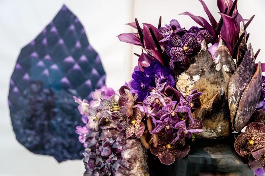 Bild und Blumen