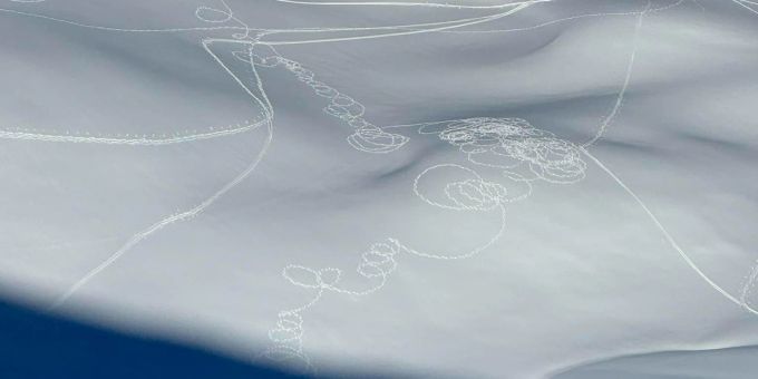 Kreisförmige Schneespuren im Bündnerland - was für ein Tier war das? Schneespuren