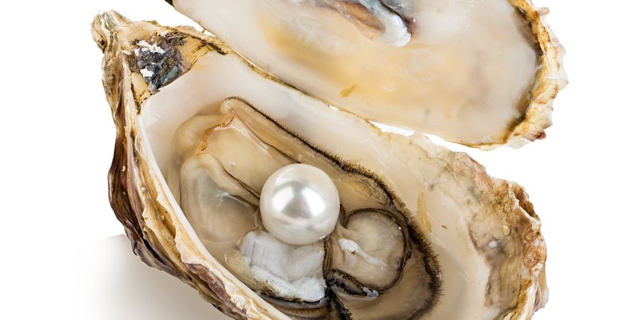 Wenn Sie die auf Ihrem Teller finden, hat es jemand gut mit Ihnen gemeint: Perlen kommen in Perlenaustern – und die sind nicht zum Essen da.