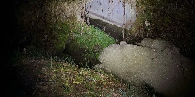 Von Kind ausgelöst - Unmengen an Gülle fliessen in Bäche – Fische tot