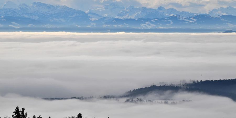 Einen so dichten Nebel sieht man über dem Bodensee immer seltener.