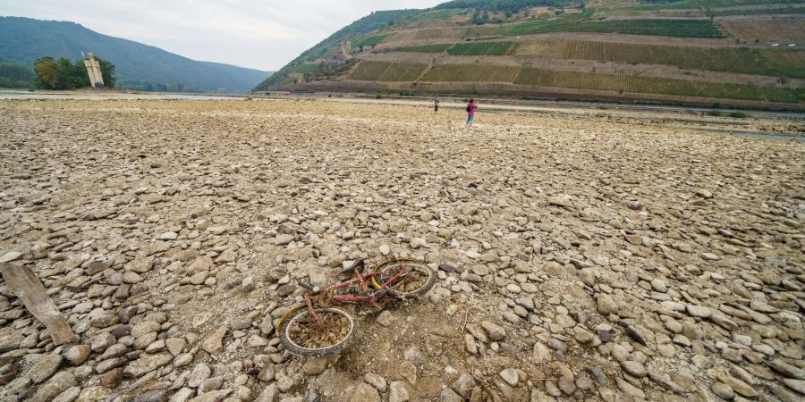 Das weitgehend ausgetrocknete Flussbett des Rheins bei Bingen im vergangenen August. Forschern zufolge befindet sich die Erde bereits bei Alarmstufe Rot.