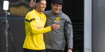 bvb