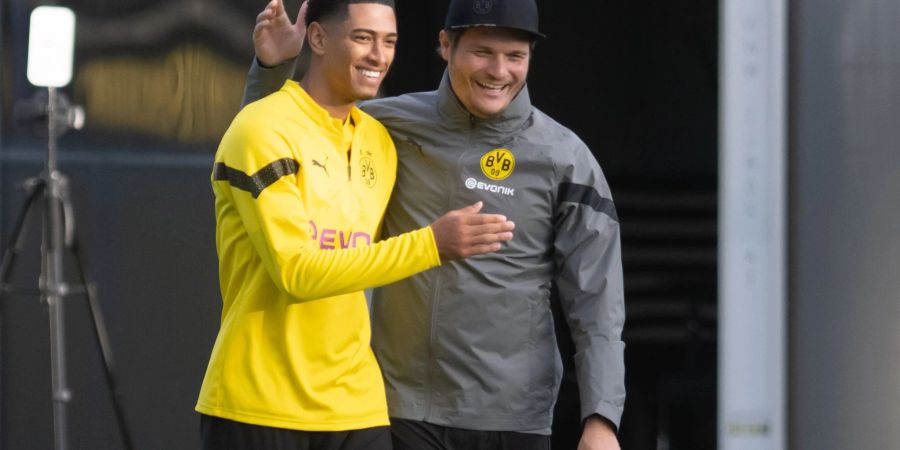 bvb