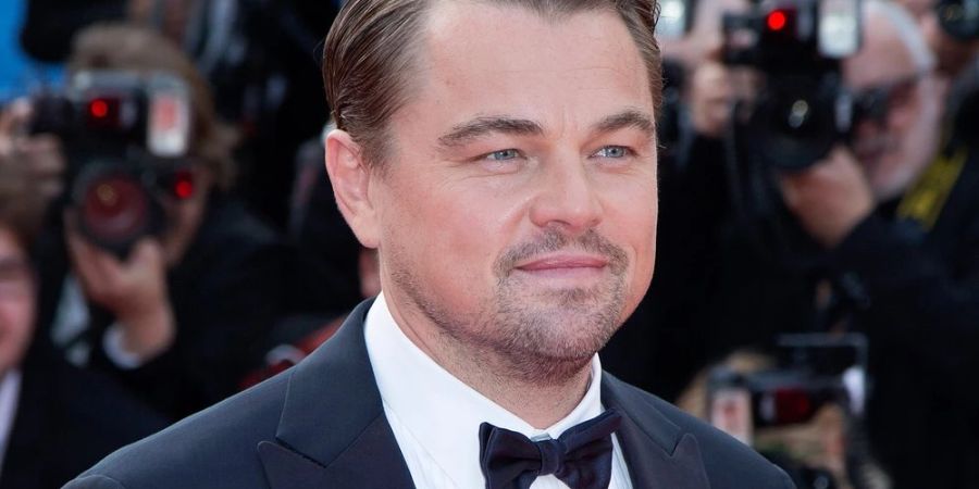 Leonardo DiCaprio soll wieder zu haben sein.