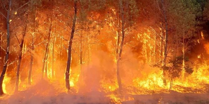 Frankreich Waldbrände