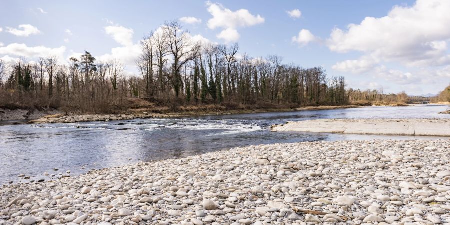 Die Aare bei Auenstein im Aargauer Auenschutzpark.