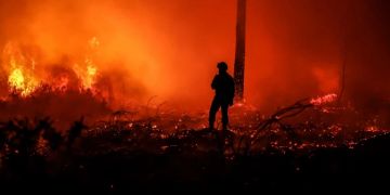 Waldbrand