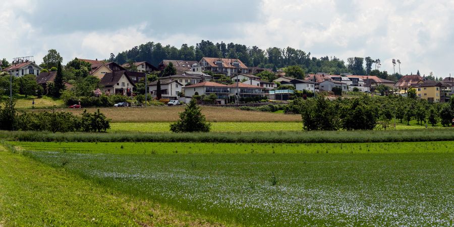 Blick auf Mörigen von Sutz Lattrigen aus.