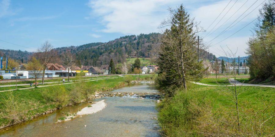 Das Flussufer an der Töss im Turbenthal.