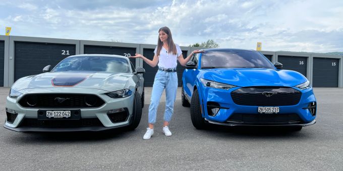 Familienstreit - Mustang vs. Mustang
