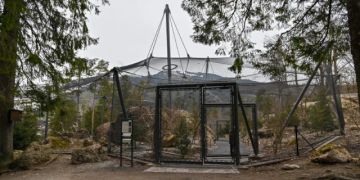 Tierpark Goldau SZ