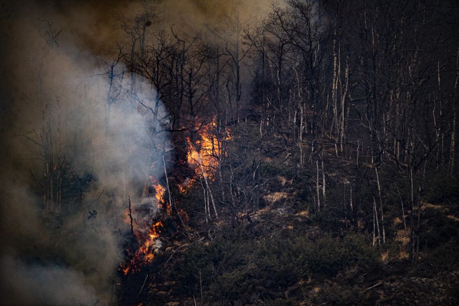 VERDASIO: INCENDIO BOSCHIVO