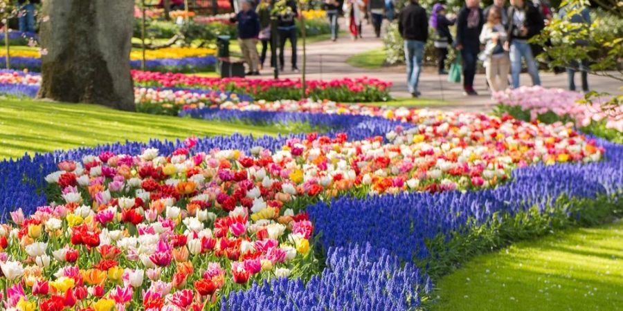 Keukenhof: Die niederländische Gartenanlage ist weltberühmt.