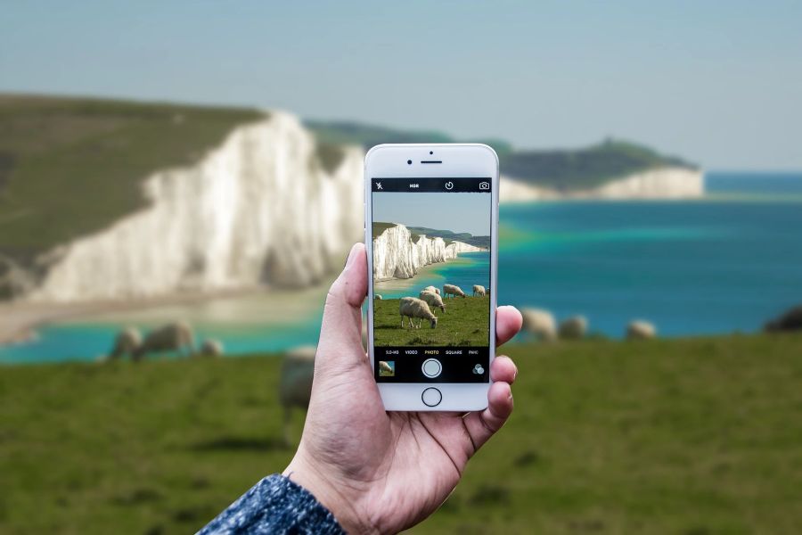 Smartphone Schafe Bucht Felsen Meer