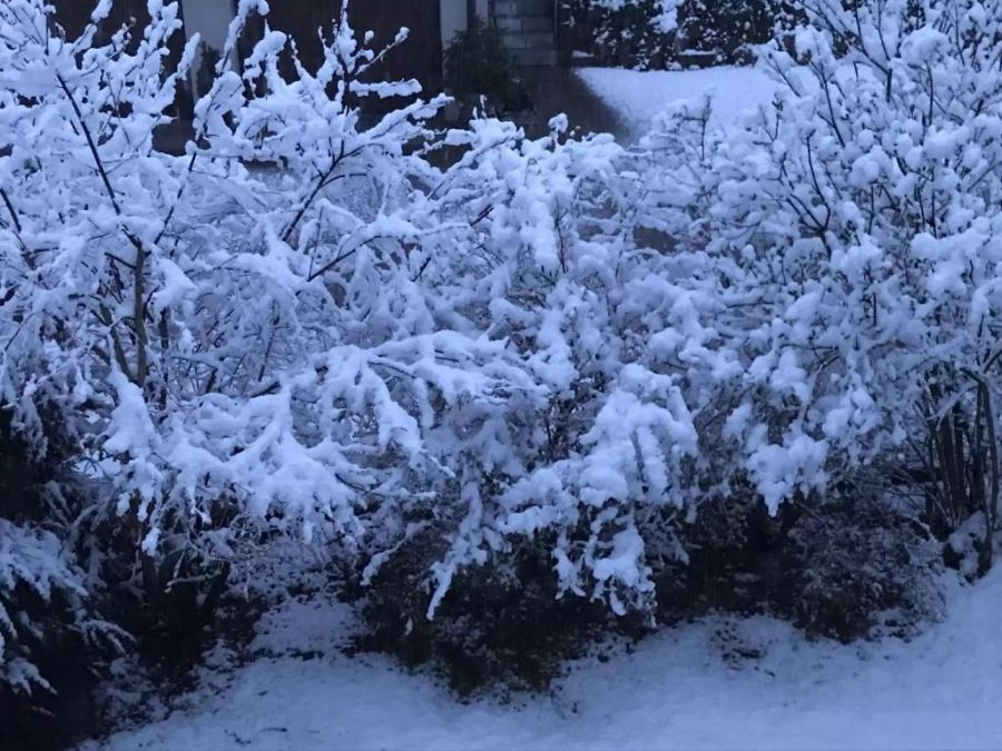 Zntimeterdick liegt der Schnee bereits am Morgen früh.