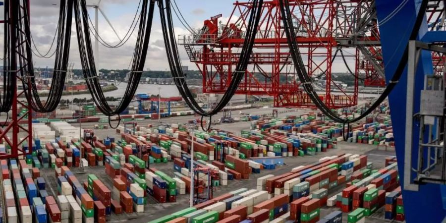 Containerumschlag im Hamburger Hafen. Foto: Axel Heimken