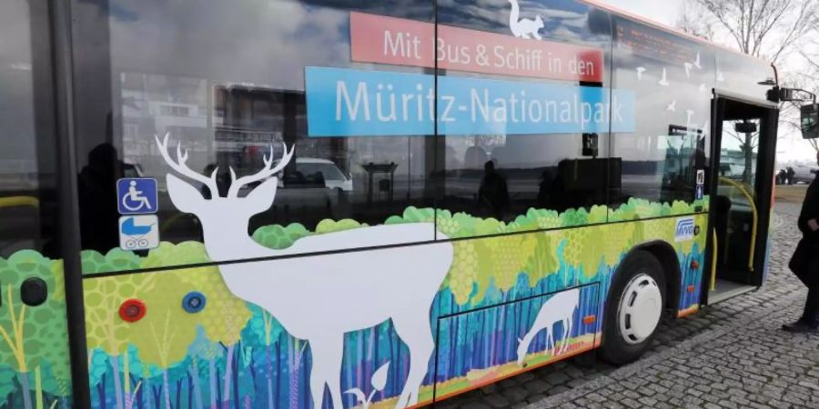 Am 1. April startet das neue Verkehrsprojekt «Müritz rundum»: Inhaber einer Gästekarte können die Busse rund um die Müritz dann kostenlos nutzen. Foto: Bernd Wüstneck