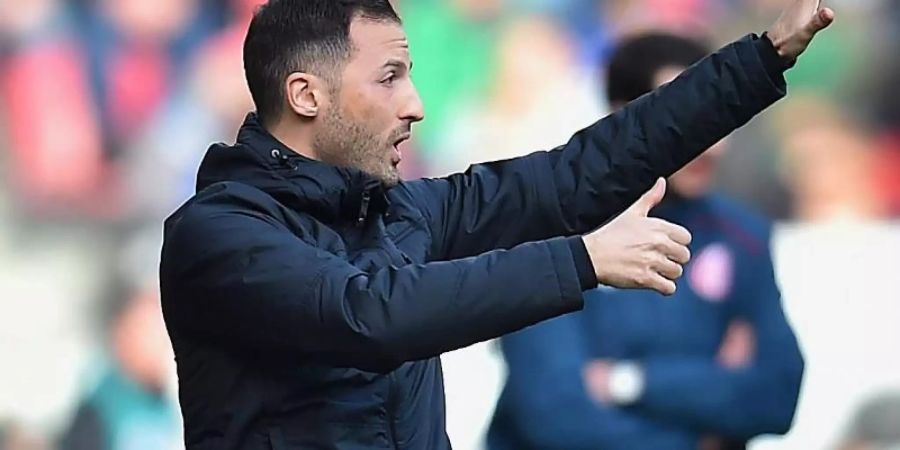 Bekommt Rückendeckung von einem ehemaligen Schalker: Trainer Domenico Tedesco. Foto: Torsten Silz