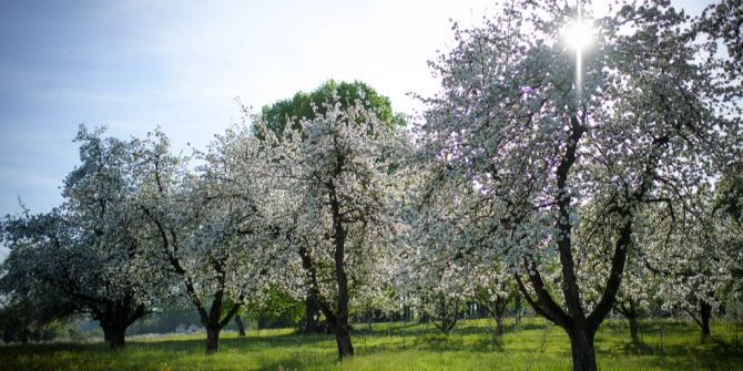 Wetter Frühling Schweiz