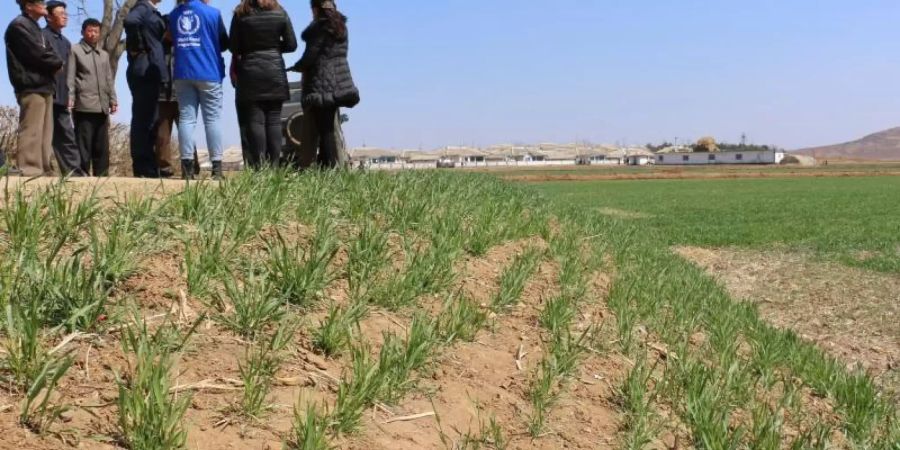 Mitglieder des World Food Programms WFP und Landwirte machen auf drohende Ernteausfälle aufmerksam. Foto: WFP/James Belgrave