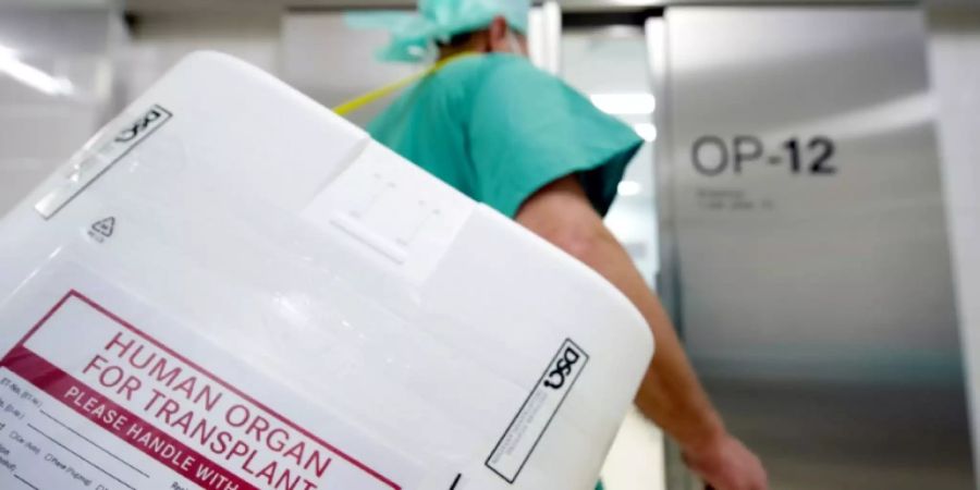Behälter zum Transport von Organen