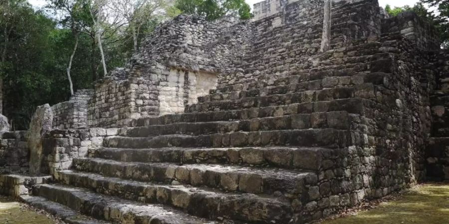 Der Regenwald und die archäologische Stätte im Bundesstaat Campeche wurden als einzige gemischte Kultur- und Naturwelterbestätte in Mexiko anerkannt. Bald könnte der Maya-Zug Urlauber hierher bringen. Foto: Andrea Sosa