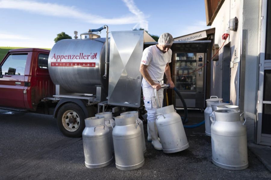 Käser des Appenzeller Käses pumpt Milch aus den Kannen in den grossen Kessel.