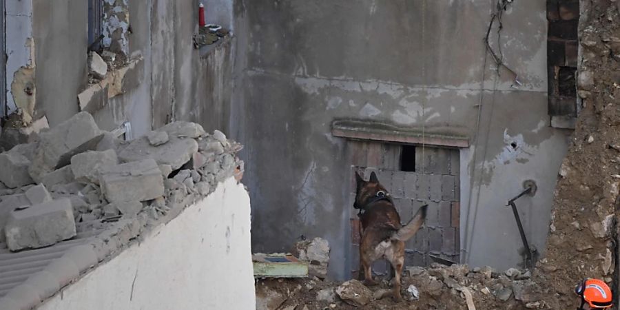 Ein Feuerwehrmann und sein Spürhund suchen nach Opfern in den Trümmern, einen Tag nachdem ein Gebäude in der Innenstadt eingestürzt ist. Rettungskräfte haben nach dem Einsturz eines Gebäudes in der Innenstadt von Marseille eine fünfte Leiche in den Trümmern entdeckt. Foto: Nicolas Tucat/AFP/dpa