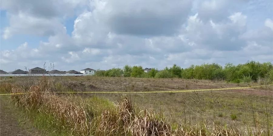 Ein Feld in Ruskin, Florida