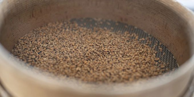 Der Bundesrat will die Getreide-Pflichtlager um gegen 50 Prozent erhöhen. (Archivbild) Ernährungs-Pflichtlager