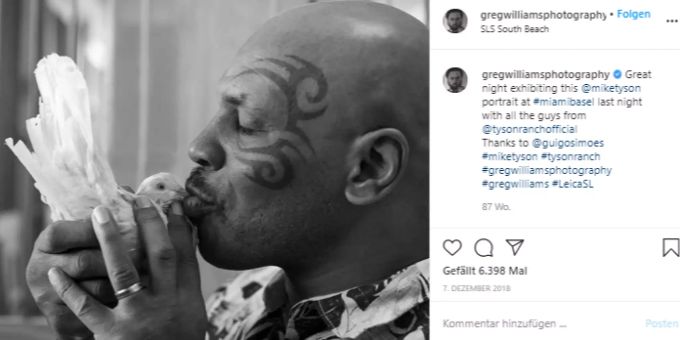 Mike Tyson gilt als grosser Fan von Brieftauben. Mike Tyson